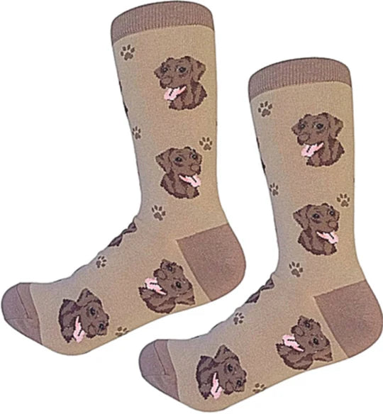 Labrador - Chocolate Socks - Fun Novelty Dog Socks - Unisex