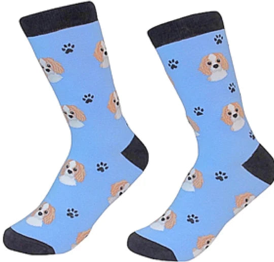 Cavalier King Charles Socks - Unisex - Fun Novelty Socks