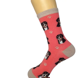 Bernese Mt. Dog - Fun Novelty Dog Socks - Unisex