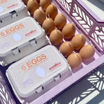 Load image into Gallery viewer, Egg Candles - 6 Pack Box
