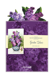 Garden Lilacs