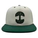 Load image into Gallery viewer, Oakland Aft Snapback
